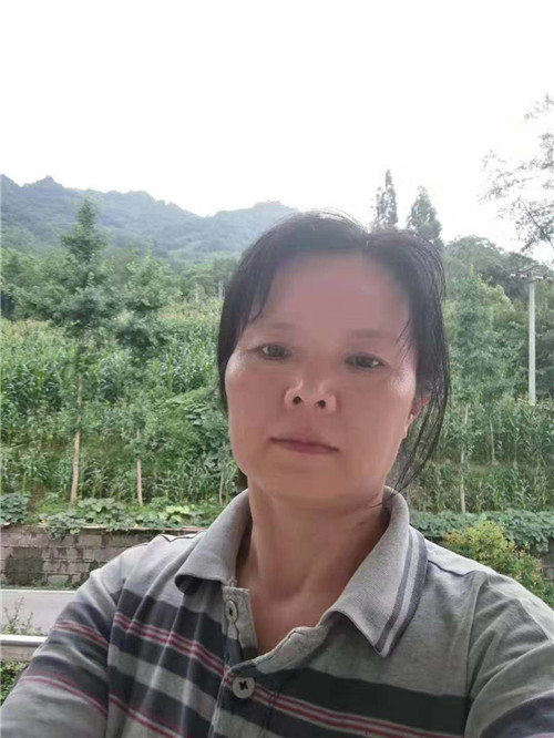 陈蓉