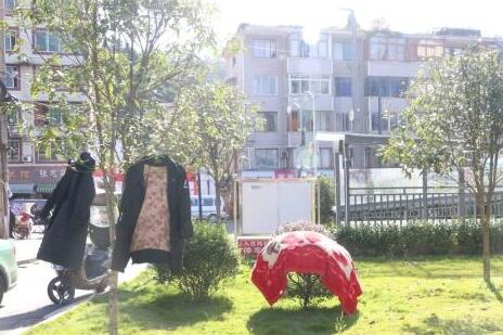 公共绿地成私家晾衣场