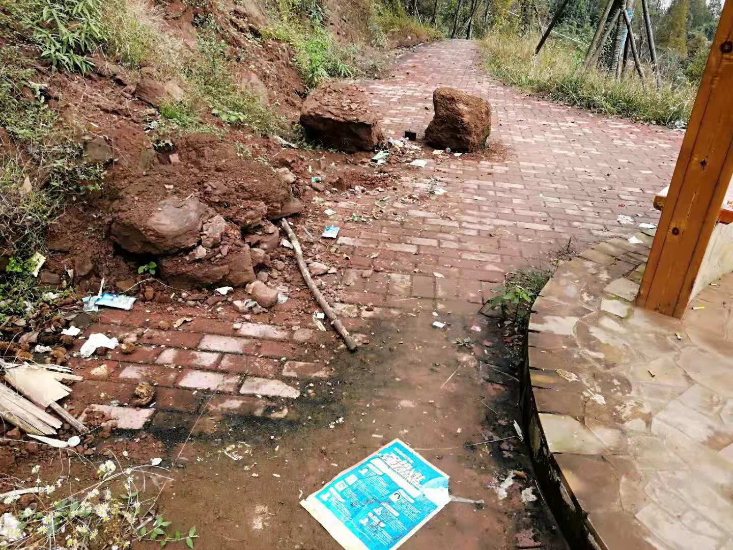 金凤山公园到处都是垃圾，也没有垃圾桶！