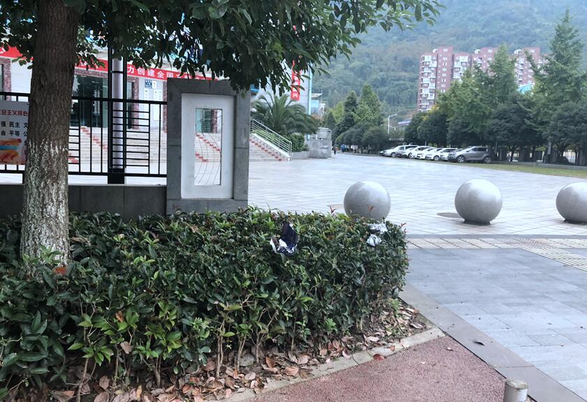 草丛不是垃圾桶