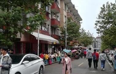 机动车、非机动车随意停放