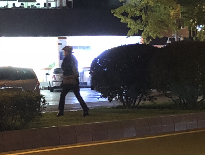 翻越绿化带，横穿马路