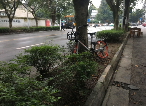 随意乱停的共享单车