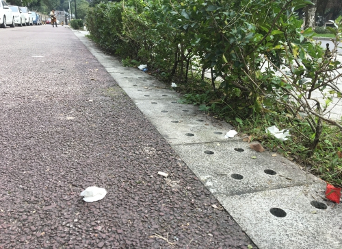随地乱扔垃圾