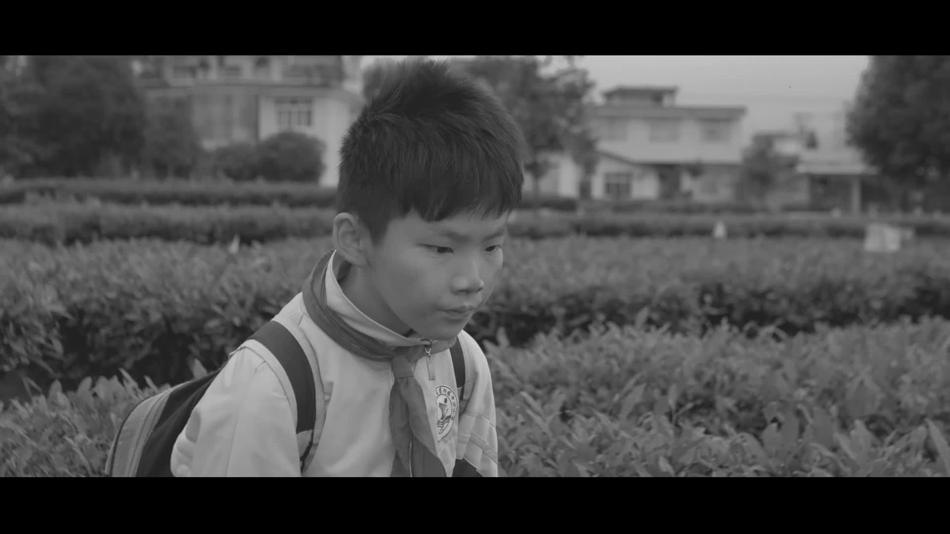 02《树》