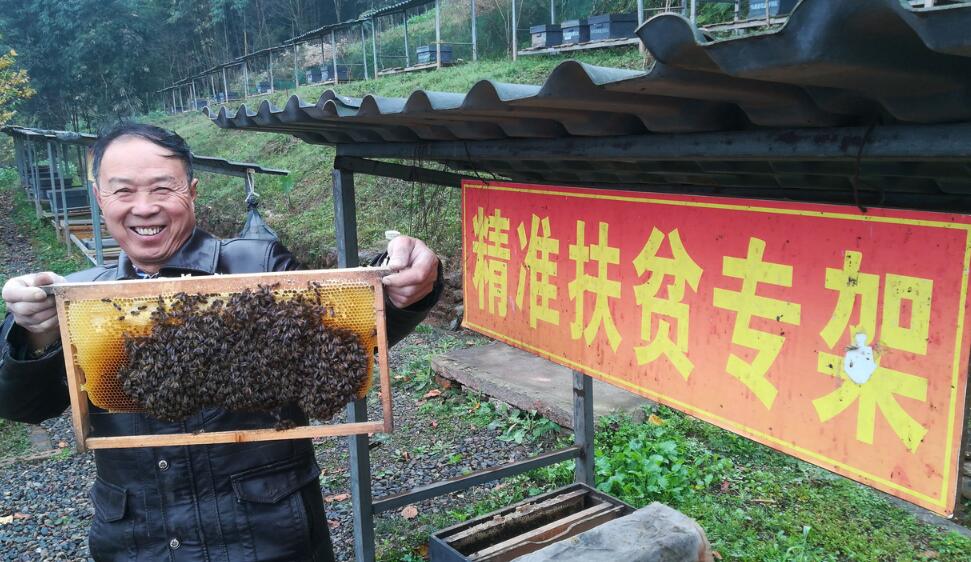 脚踏实地固根基  勤劳肯干早致富