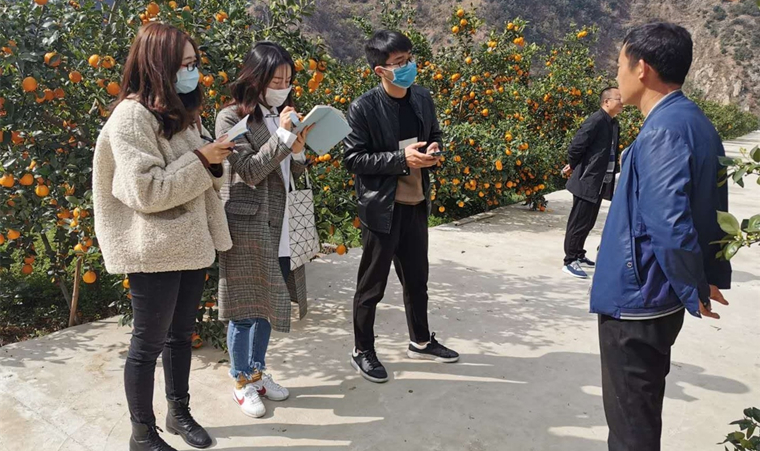 大渡河畔春潮涌  八佛山上花果香