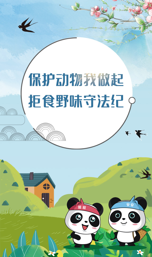 保护动物我做起，拒食野味守法纪